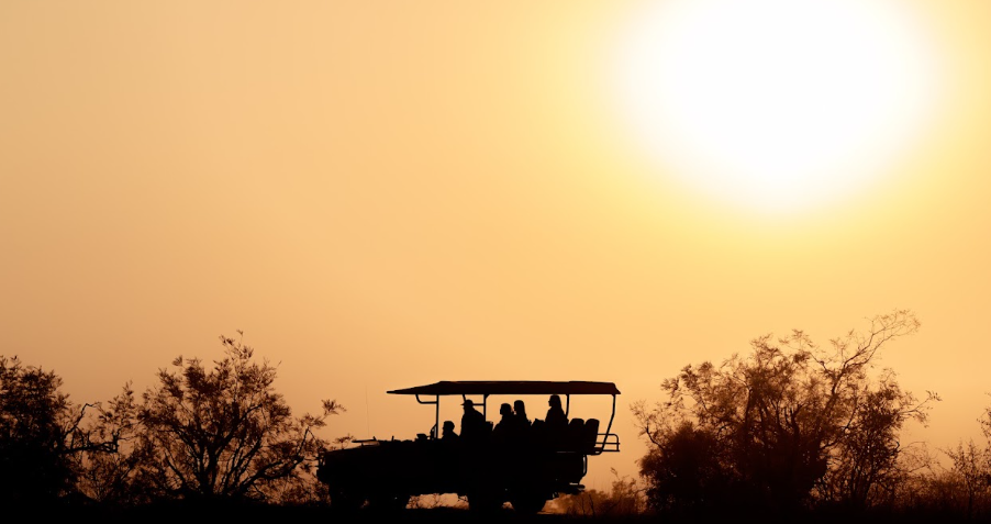 A game-drive vehicle silhouetted against the setting sun