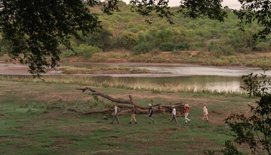 A guided walk along the Olifants riverbank